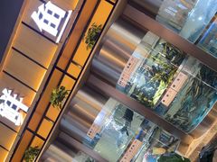 -老船舫·现做活鲜鱼馆(东郊记忆店)