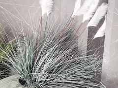 -仟汇足道·SPA(秀洲总店)