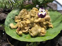 -驿舍·民國老营房院子私房菜(科学会堂店)