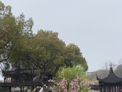 -苏州吴宫泛太平洋酒店