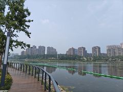 -金银湖国家城市湿地公园