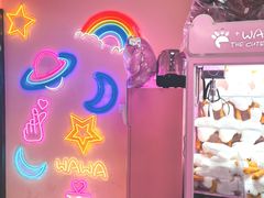 -+WAWA夹娃娃专门店·抓娃娃