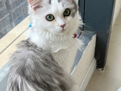 -怪兽屋·羊驼·猫咖·狗咖(俊华广场店)