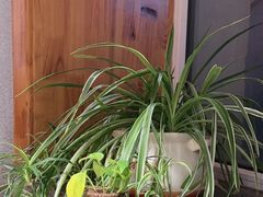 -金博士朝鲜民族餐厅(工大店)