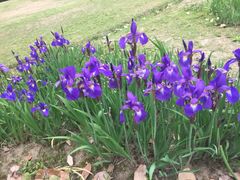 -苏州河梦清园环保主题公园