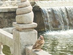 -红螺寺