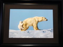 -罗红摄影艺术馆