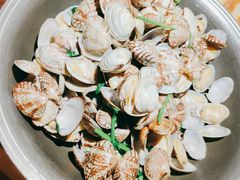 -前海沿·青岛菜(大拇指广场石老人店)