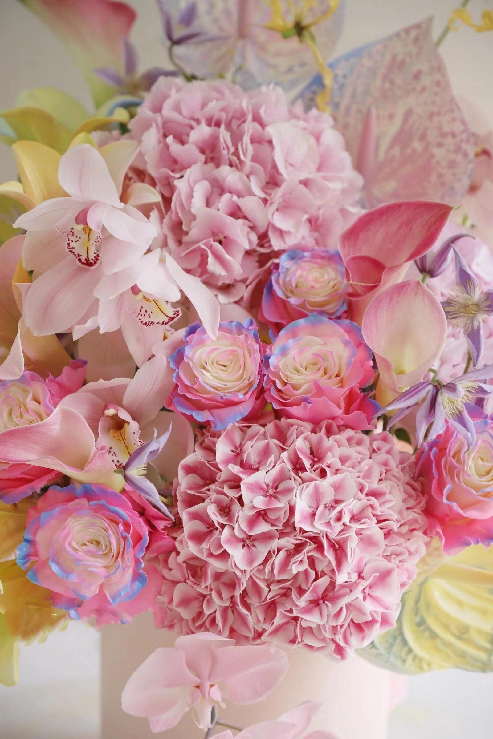 彩色玫瑰的温柔时光