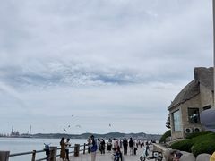 -悦海公园