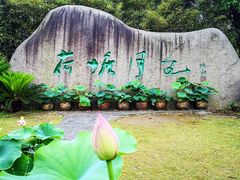 -荷塘月色湿地公园·向阳花洲