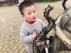 -武汉紫薇都市田园