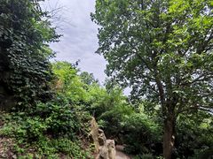 -紫金山山顶公园