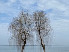 -阳澄湖半岛旅游度假区