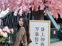 -武汉知音号
