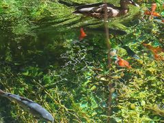 -水磨沟公园