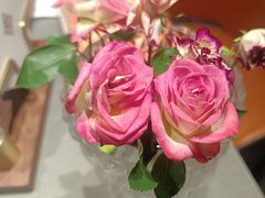 -小厨娘淮扬菜(河西奥美大厦店)