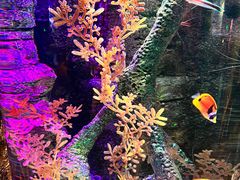 -沈阳海洋探索中心