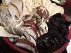 -食鲜捞火锅(湖西路店)