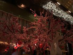 -金轩中餐厅 Jin Xuan(浦东丽思卡尔顿酒店)