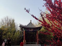 -丰台花园