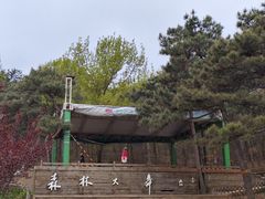 -北京西山国家森林公园