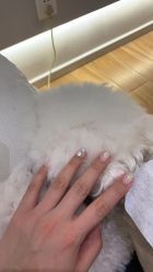 -小小美甲美睫