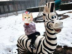 -廊坊固安福朋喜来登酒店