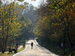 -方山风景区定林寺