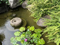 -大自然(鲁家村店)