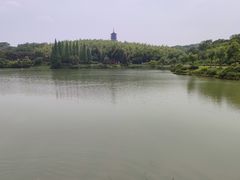 -宜兴龙背山森林公园