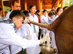 -英孚国际留学·雅思托福·DSE A-Level AP(福田中心)