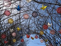 -郑州中国绿化博览园