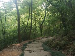 -杭州半山国家森林公园