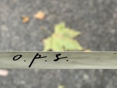 -O.P.S. CAFE