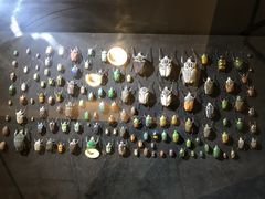 -燕莎友谊商城(亮马桥店)