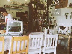 -海边的猫和咖啡馆