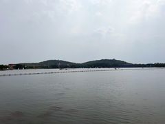 景点-上海月湖雕塑公园