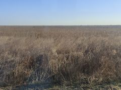 -盐城丹顶鹤湿地生态旅游区