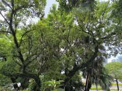 -澳门圣地牙哥古堡酒店