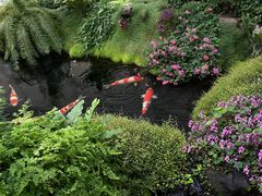 -罗红摄影艺术馆