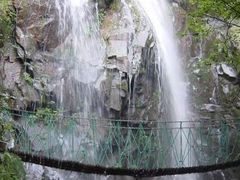 -藏龙百瀑风景区