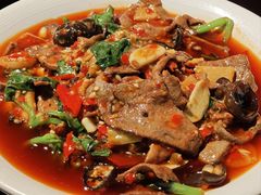 -陈麻婆豆腐总店