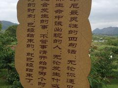 -宜春禅都文化博览园