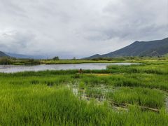 -泸沽湖国家级风景名胜区走婚桥