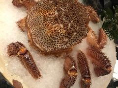 -官也街澳门火锅(新源里店)