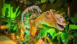 -恐龙探索乐园(磁器口店)