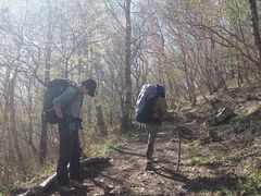 -灵山