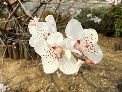 -北京华联购物中心(同成街店)