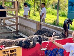 -水上乐园·欢乐世界